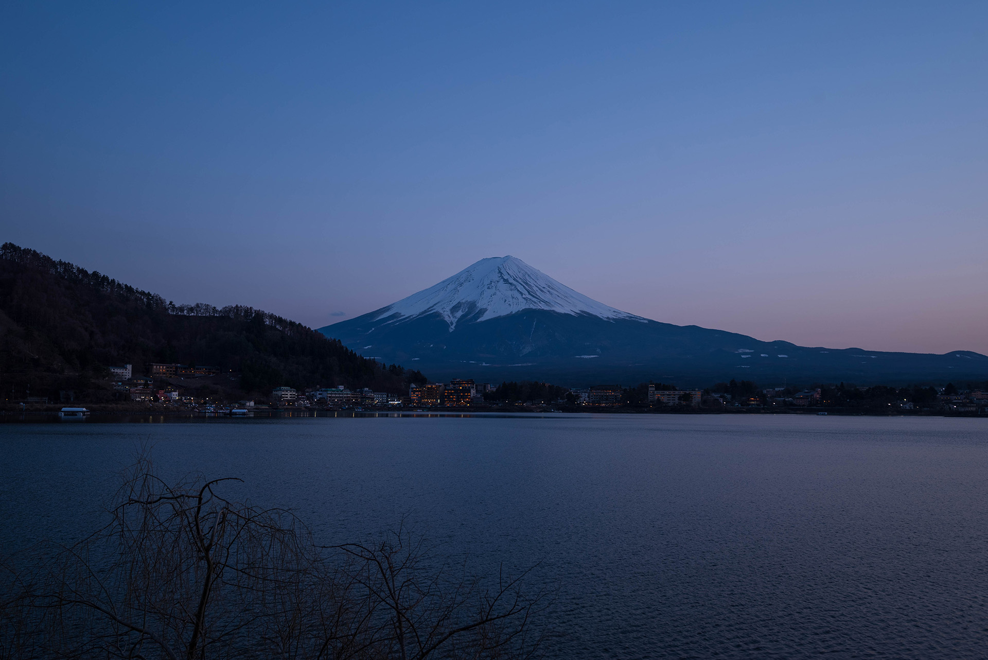 敢问「樱」在何方？2024坎坷追樱之旅