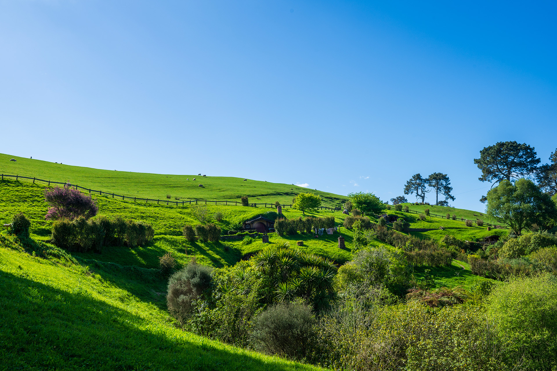 寻觅中土世界的奥秘，长白云下的南半球奇幻之旅（四）（完）